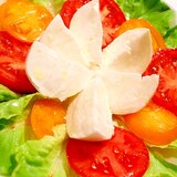 【簡単贅沢サラダ】絶品ブッファラのトマトサラダ
